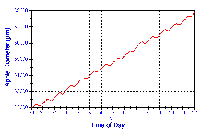 growth curve apple fruit