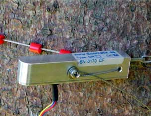 Dendrometer DC1