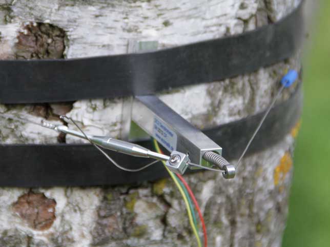 dendrometer dc2
