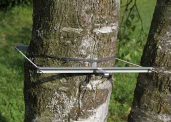 Dendrometer DD-L