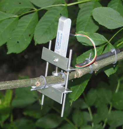 Dendrometer