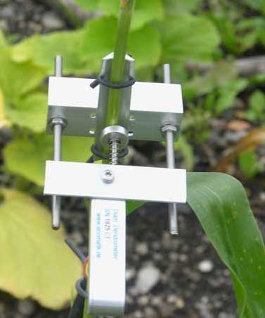 Dendrometer