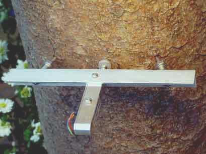 Dendrometer