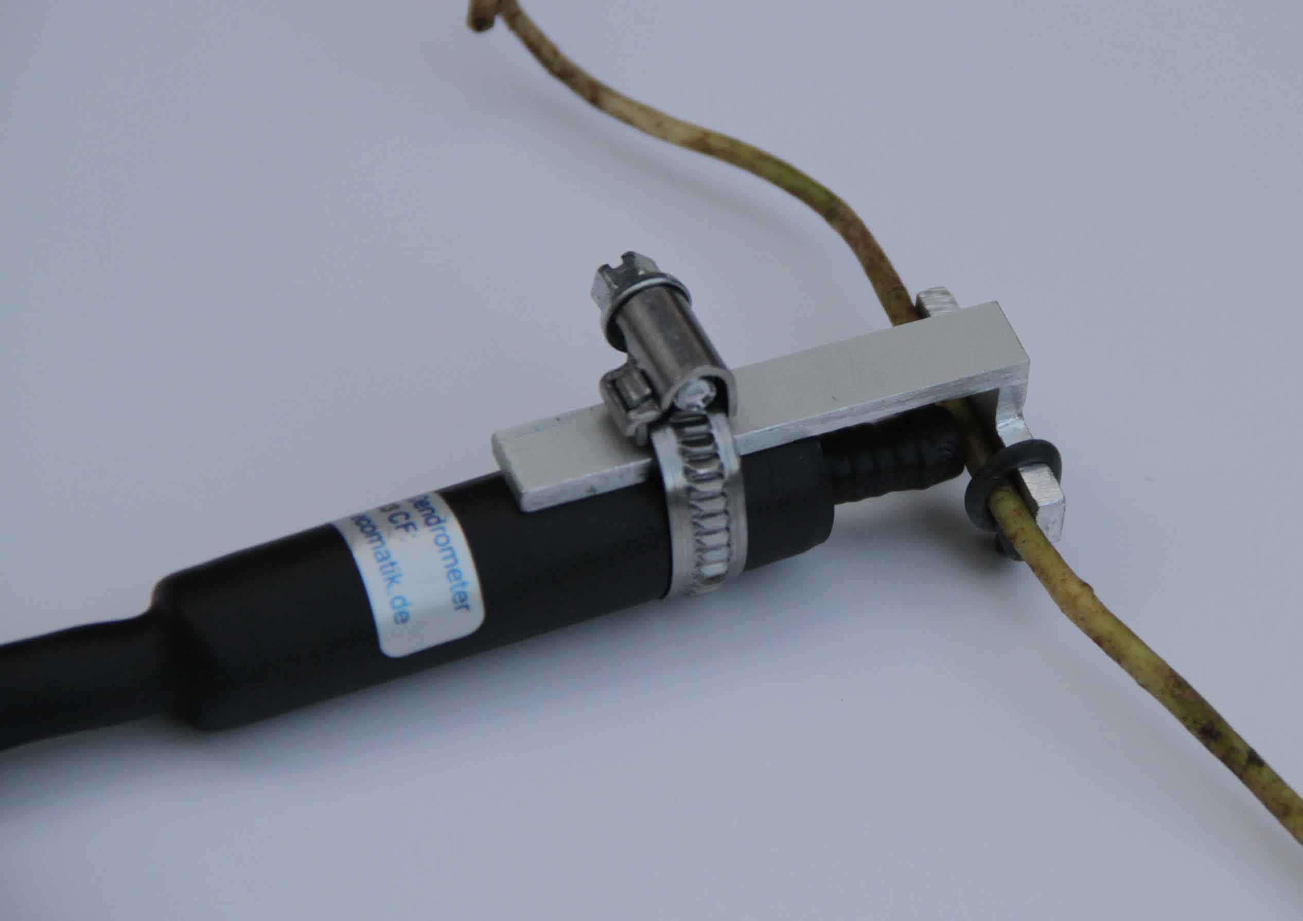Root Dendrometer DRO