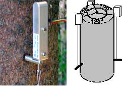 Dendrometer DV