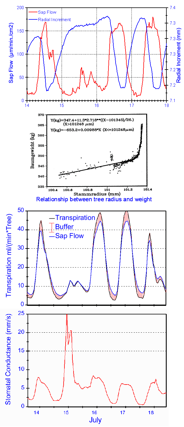sap flow and dendrometer
