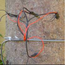 Sap Flow Sensor SF-L